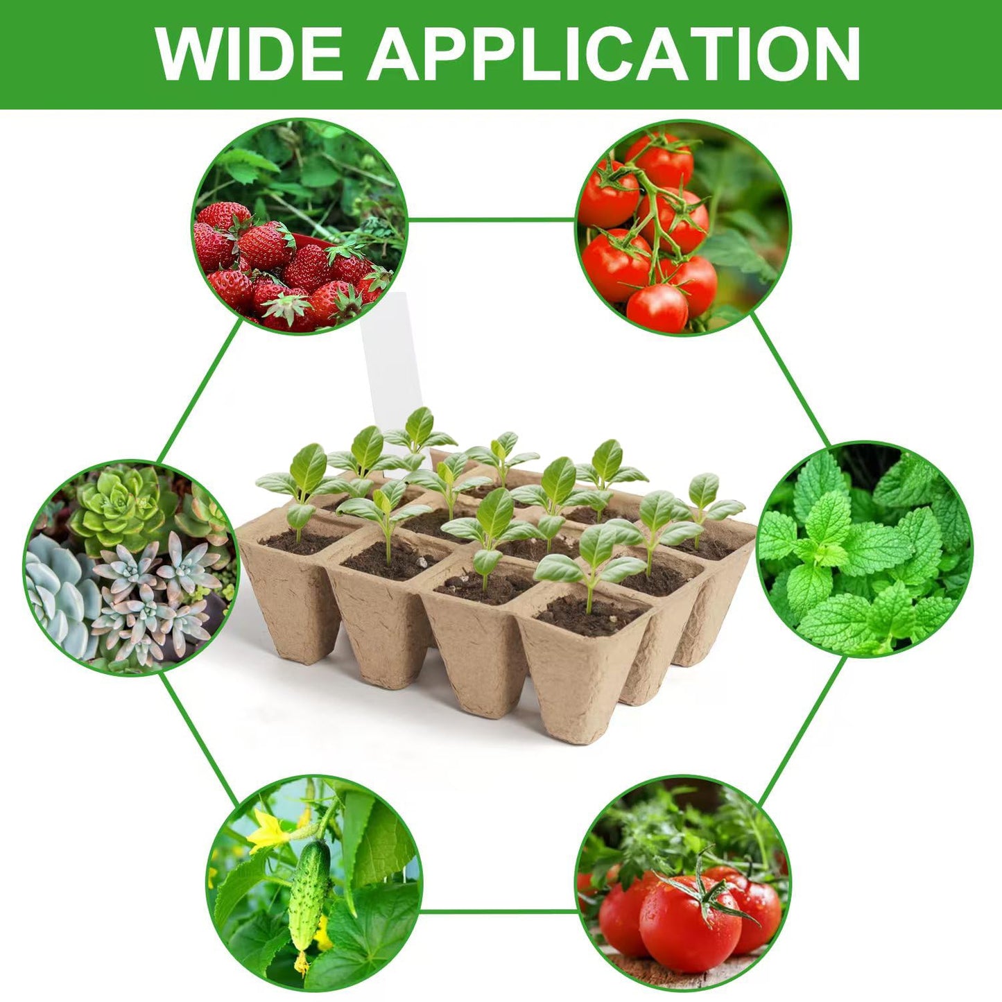 240 Cells Seed Thickened 12-Cell Peat Pots Seed Starter Kit - 20 Trays + Transplanting Tools & Plant Labels, Biodegradable Root-Friendly Seedling Cups for Vegetables Flowers Herbs Seed Starting