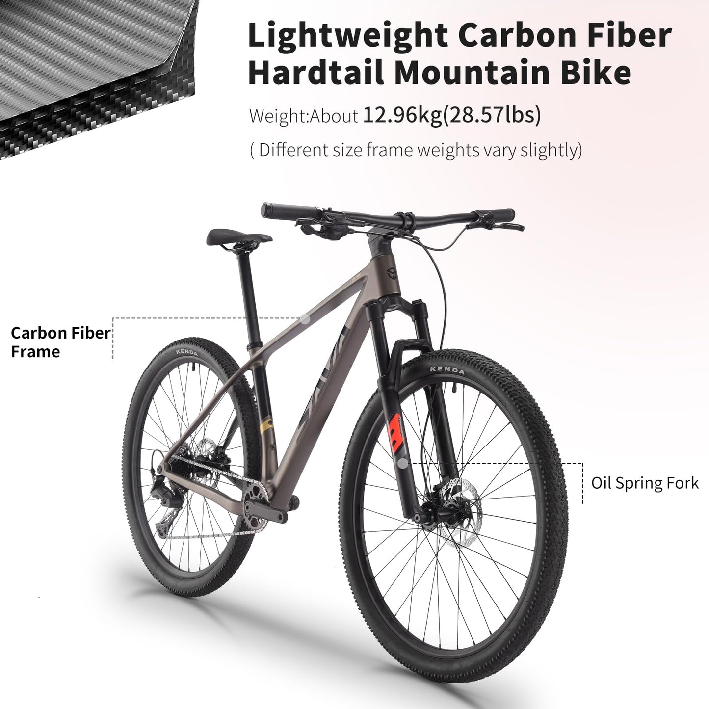 SAVADECK Carbon Fiber MTB with U6000 10 Speed Shift Groupset, Hydraulic Disc Brake with MT200 Break System (Gulf Blue, 27.5 * 19)