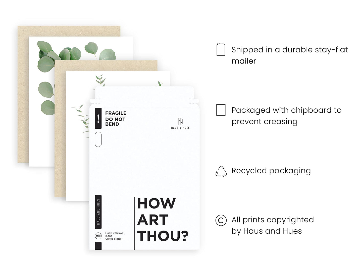 HAUS AND HUES Botanical Plant Wall Art Prints - Set of 4 Plant Decor Prints, Floral Kitchen Pictures, Flower Leaves Wall Art, Boho Leaf Eucalyptus Wall Décor (8x10, UNFRAMED)