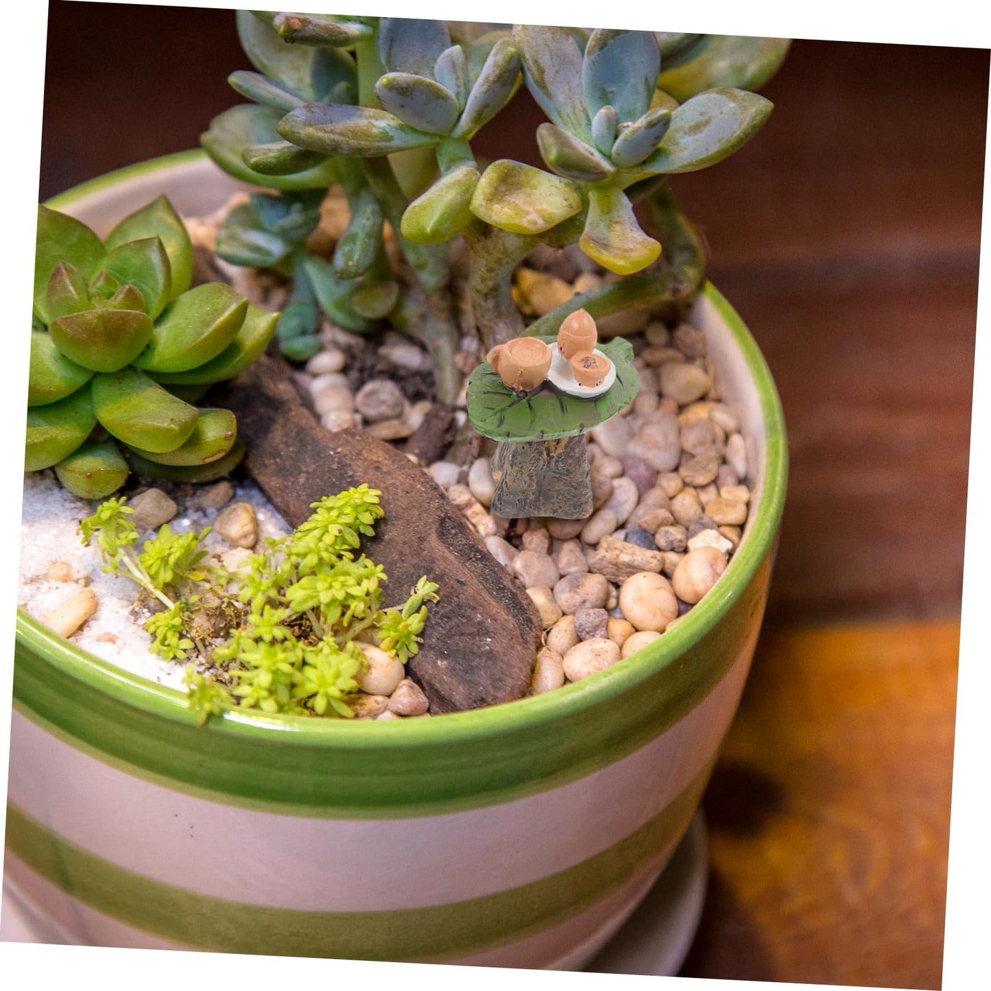 Vaguelly Micro Landscape Ornament Tiny House Table Decor Resin Tea Table Model for Fairy Garden