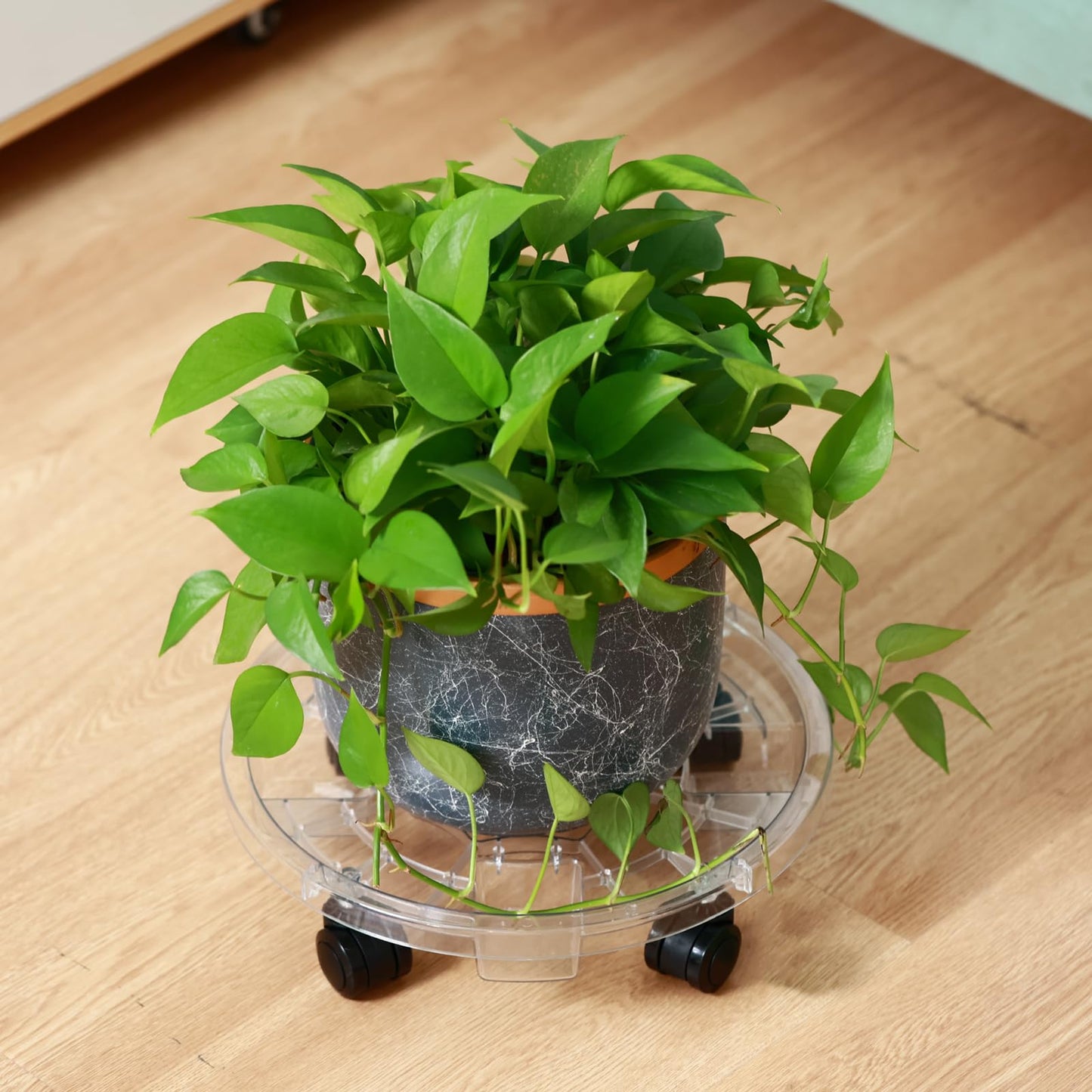 KvyusFlourish 4 Packs 13 Inches Large Clear Plant Caddy Plant Saucers on Wheels Rolling Plant Stands Heavy-duty Plant Dolly Plastic Planter Roller Base Pot Movers Outdoor Plant Tray Coaster