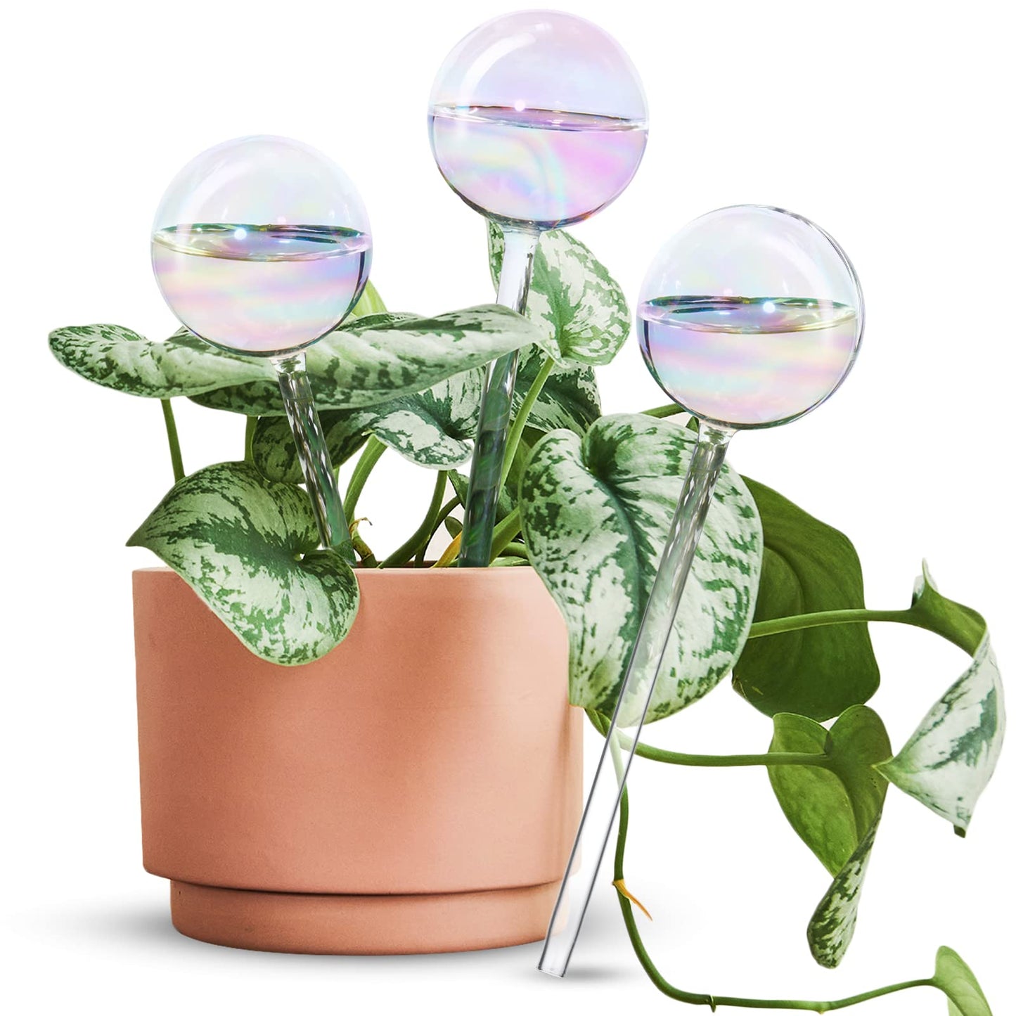 Tomorotec [3PCS] Light Iridescent Rainbow Gradient Color Clear Glass Self-Watering System Spikes, Automatic Plant Waterer Bulbs