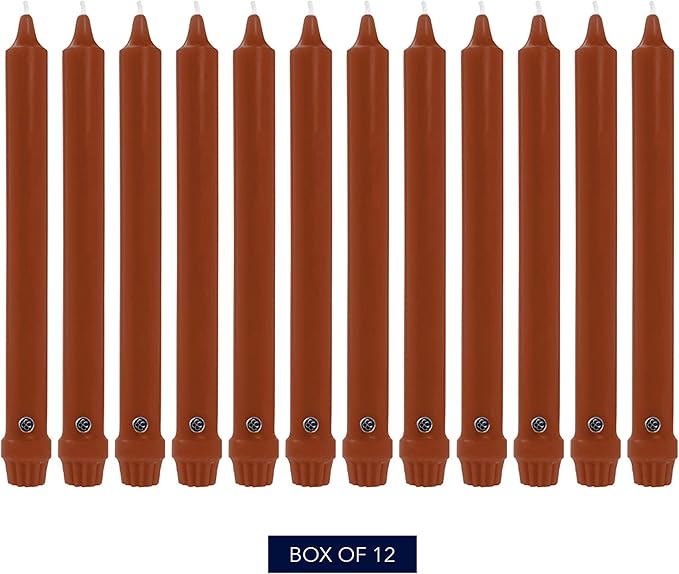 Colonial Candle Unscented Taper Candle, Classic Collection, Amber, 10 in, Pack of 12 - Up to 8 Hours Burn