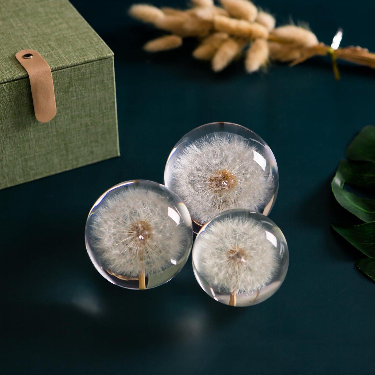 Paperweight Dandelion Dream Ball. Crystal Wishing Ball. Unique Paperweight Made of Dandelion. Gift for Women Men (Mom, Dad, Teacher), Birthday, Wedding, Valentine's Mother's. (8CM)