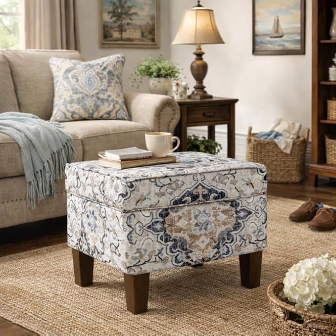 Spatial Order Home Decor | Dinah Collection Modern Storage Ottoman | Ottoman with Storage for Living Room & Bedroom(Antiqued Ebony Cream)