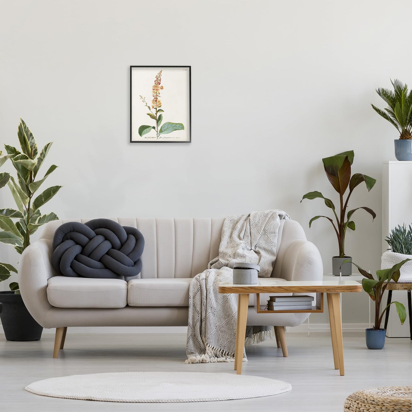 Stupell Industries 'Scientific Botanical Plant', Framed Giclee Art, Black, 16 x 20 Inches, Easy to Hang and Sturdy, Made in USA, by Unknown Artist
