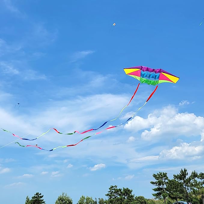 Beach Kites for Adults Large with Long Tail, 98 inches Super Easy Flyer 3D Rainbow Box Kites, Comes with Two 49 Feet Multi Colors Tails, 300 ft Kite String & Handle