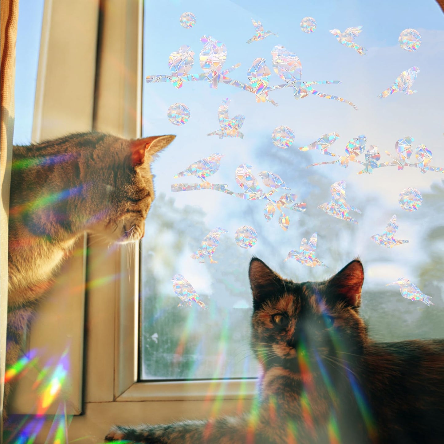 72Pcs Birds Window Stickers Prevent Birds from Hitting Windows, Rainbow Sun Catcher Stickers No Glue Required, Non-Adhesive Reusable Vinyl Rainbow Stickers