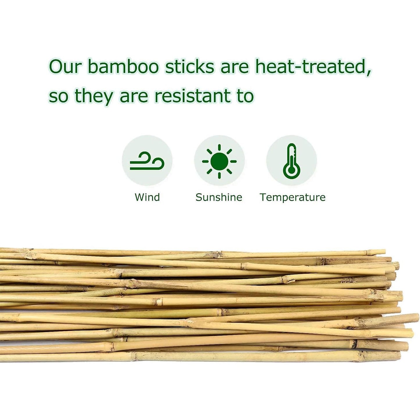 Cambaverd Bamboo Stakes for Plants, Natural Bamboo Plants Stakes 5 Feet, Garden Stakes for Climbing Plants Tomatoes, Beans, Potted Plants - 20Pcs Bamboo Poles (58in, Approx 5FT)