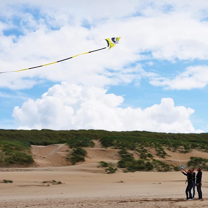 Delta Kite for Kids & Adults - Easy to Fly Large Single Line Beach Kite with 300ft String Handle Included, Perfect for Beginners, Teens