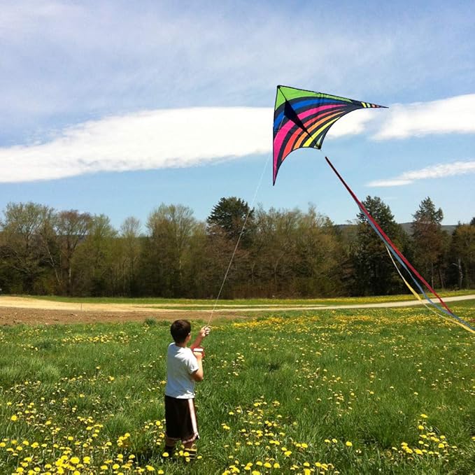 Mint's Colorful Life Delta Kite for Kids & Adults, Extremely Easy to Fly Kite, Best Kites for Beginner