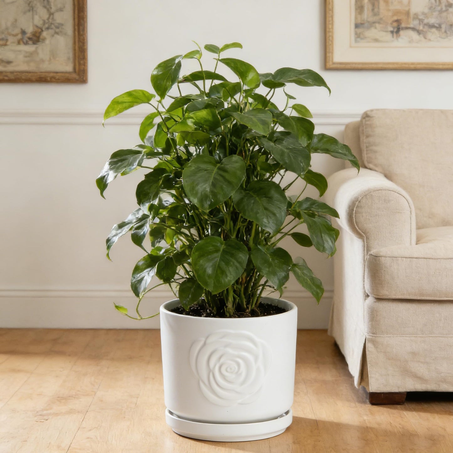 Ekirlin 7 Inch Indoor Plant Pots, White Ceramic Flower Planters, Modern Style Succulents Containers with Drain Hole & Saucer Tray, Weatherproof Pot for Decorate Home,Office & Outdoor (Rose Design)