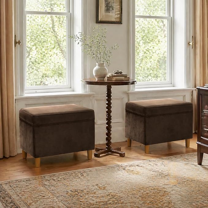 Spatial Order Home Decor | Dinah Collection Modern Storage Ottoman | Ottoman with Storage for Living Room & Bedroom(Chocolate Brown Velvet)