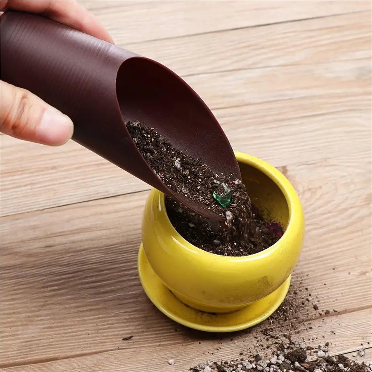 Bonsai Soil Scoop 6PC Plastic Soil Shovel Cup for Garden Spade Cultivation Bucket Potted Bonsai Fleshy Plant Mini Home Gardening Tools(Blue)