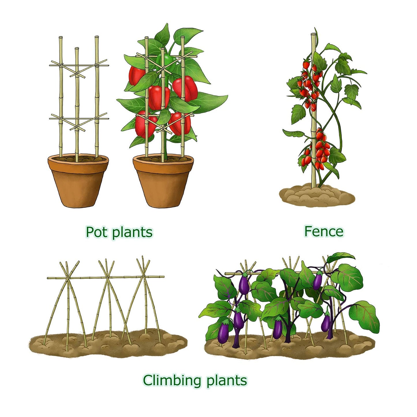 Cambaverd Bamboo Garden Stakes 3 Feet Plant Stakes for Roma Tomatoes Sunflowers Beans Potted and Climbing Plants - Pack of 25 Bamboo Sticks