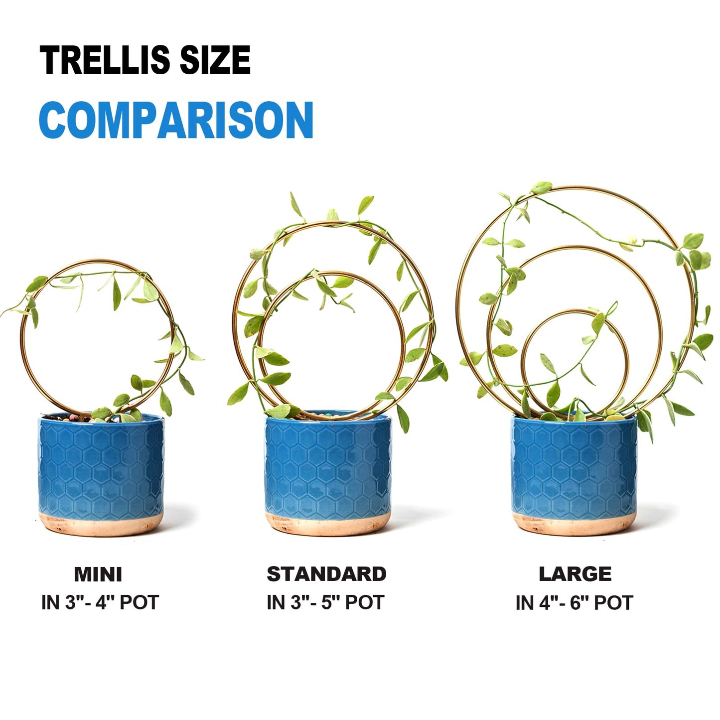 Mirthdino Hoya Trellis- Metal Plant Trellis Indoor 3-Pack for Climbing Plants - Gold Small Garden Trellis for Ivy and Flowers - Unique Patterns - Outdoor Potted Plant Support