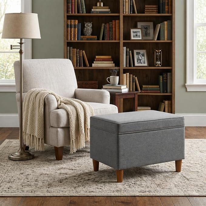 Spatial Order Home Decor | Dinah Collection Modern Storage Ottoman | Ottoman with Storage for Living Room & Bedroom (Cool Light Gray)