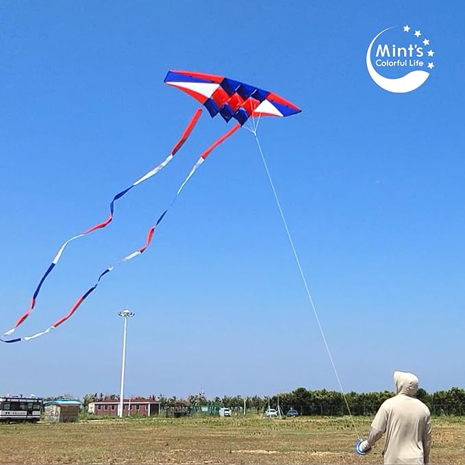 Beach Kites for Adults Large with Long Tail, 98 inches Super Easy Flyer 3D Rainbow Box Kites, Comes with Two 49 Feet Multi Colors Tails, 300 ft Kite String & Handle
