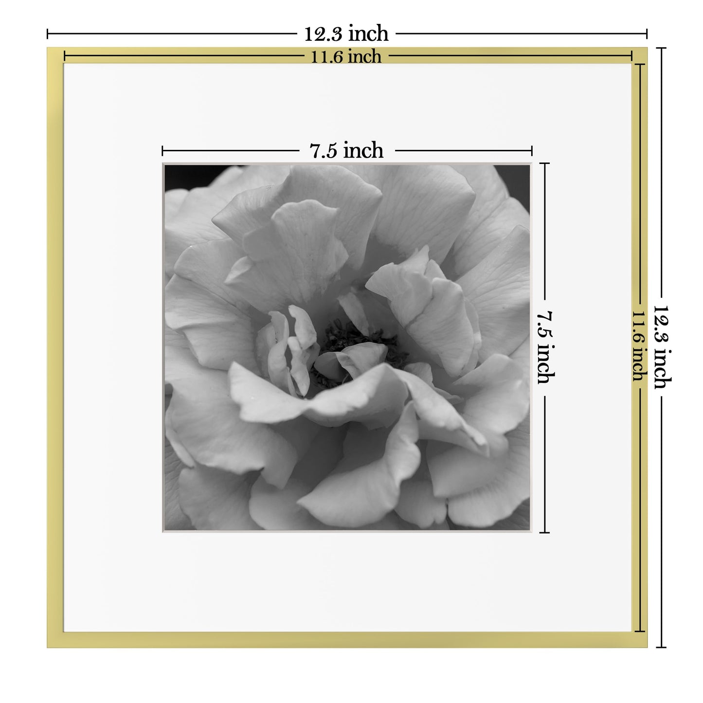 eletecpro Aluminum Gallery Wall Frame Set of 6, 12 x 12 Metal Photo Frames Display 8x8 Photo with Mat or 12x12 without Mat, Picture Frame Collage Wall Decor, Gold