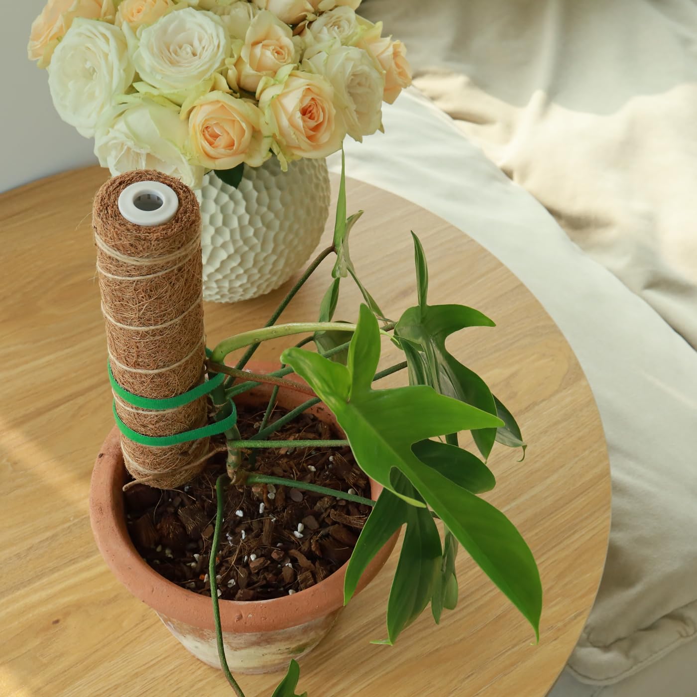 Moss Pole for Plants 4 Pack Natural Coco Coir Climbing Support Stakes with Plant Ties Indoor Monstera Plant Training Extension Poles 14.8inch Each Total 59.2inch