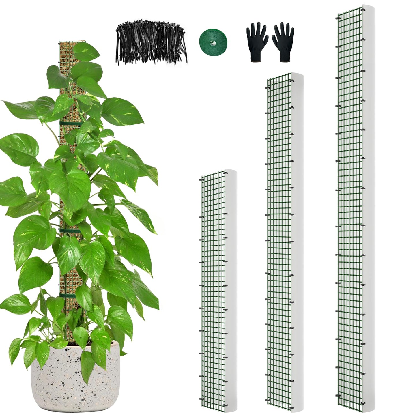 60"/40"/24" Metal Moss Pole, D Shape Sphagnum Moss Pole, Moss Poles for Climbing Plants, Monstera, Indoor Climbing Plants (1 Each of 60" 40" 24")