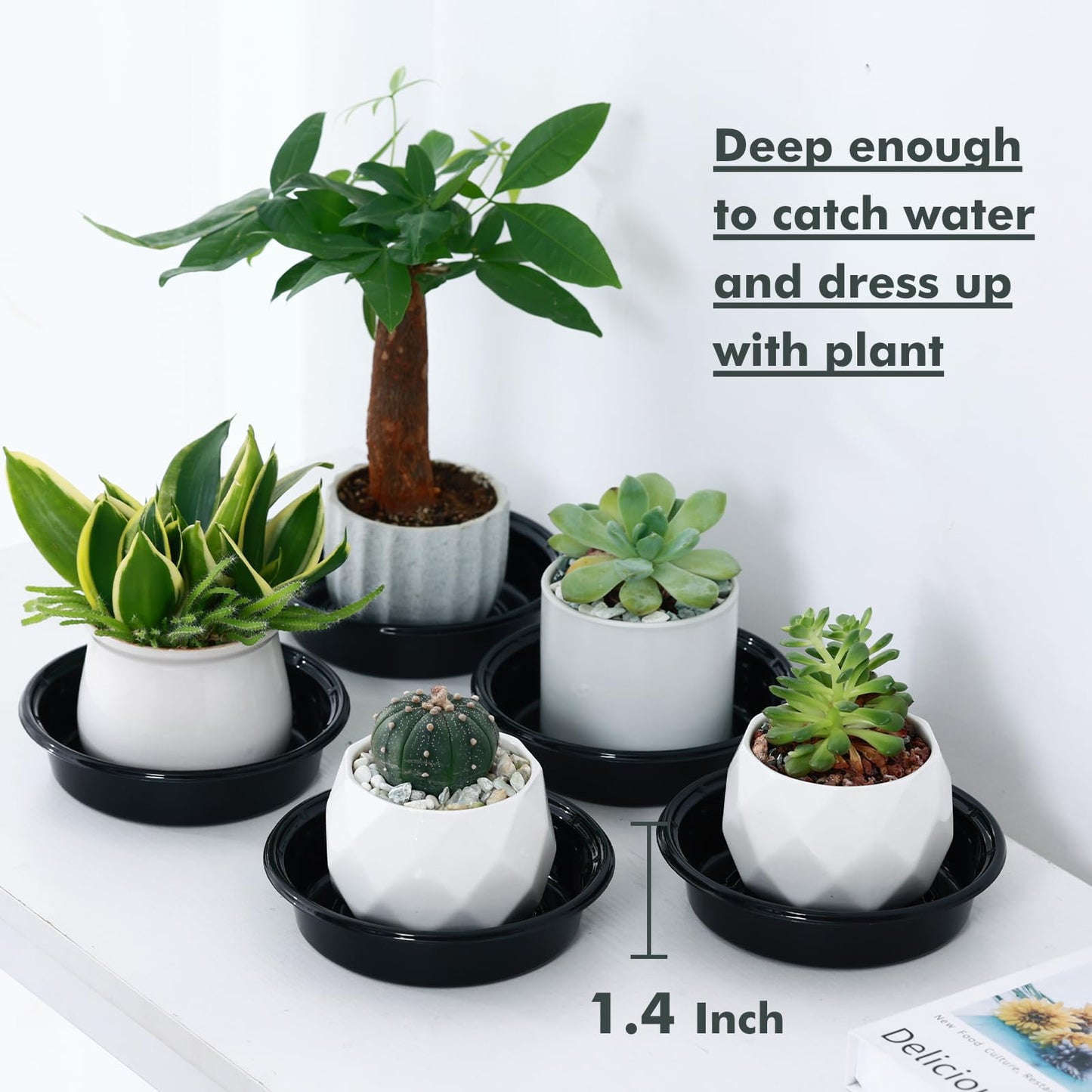 Plant Saucer 30 Pack Plant Trays for Pots 4/6/8/10/12 Inch Plastic Plant Saucers for Outdoors & Indoors Black Drip Trays for Potted Plants Flower Pot Plates to Catch Water Drainage Dishes No Holes