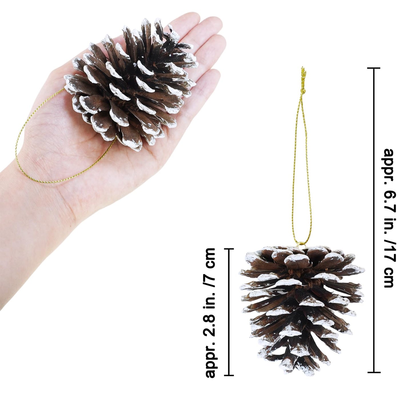 Winlyn 30 Pcs Frosted Pine Cone Ornaments White Natural Pinecone Hanging with String Pine Cones Christmas Tree Decorations for Winter Wedding Seasonal Wreath DIY Crafts Holiday Party Table Centerpiece