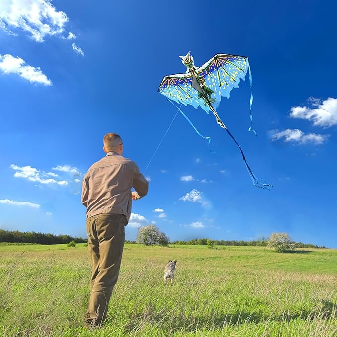 Mint's Colorful Life Dragon Kite for Kids & Adults, Easy to Fly Best Beach Kites for Beginners, 300ft Kite String Included