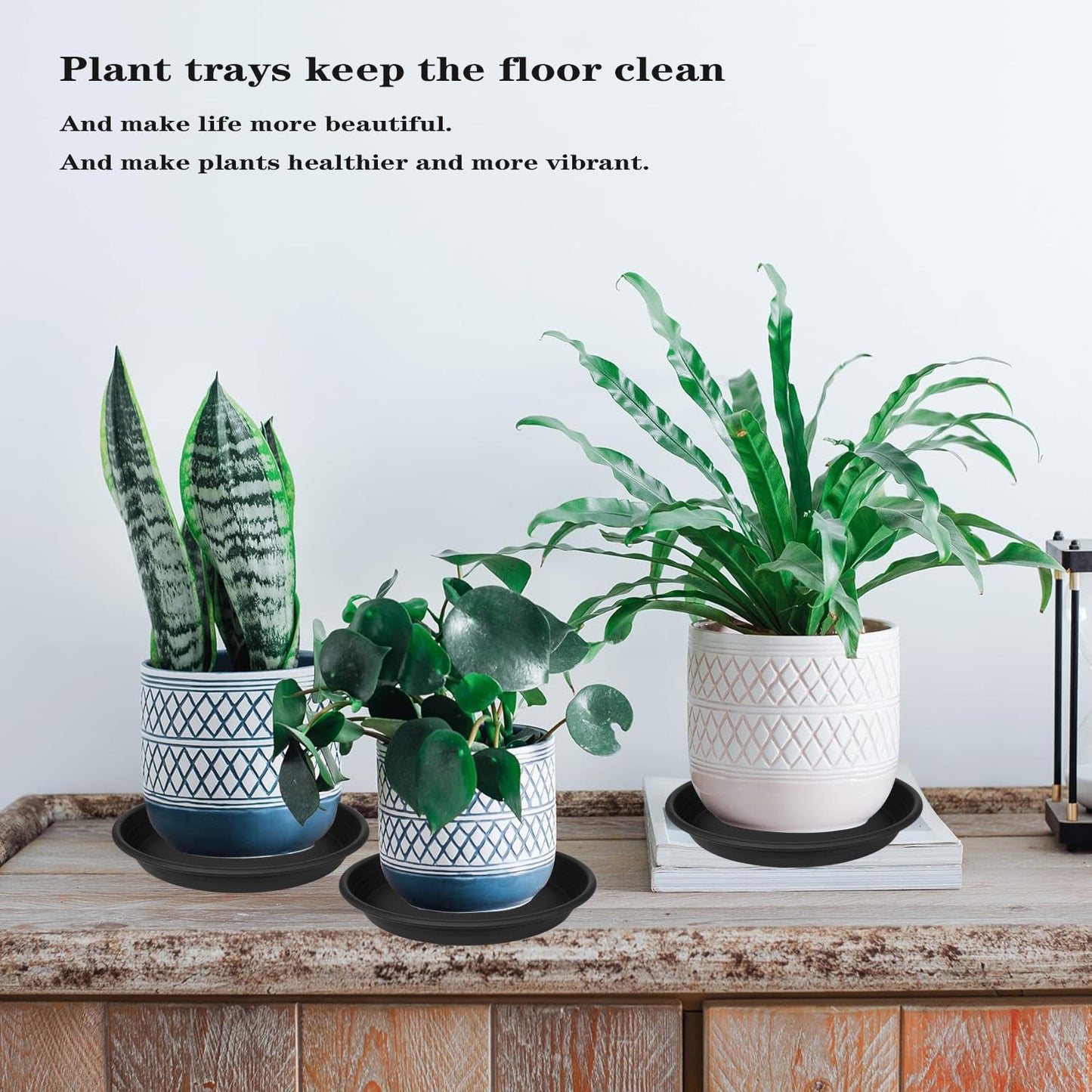 Grjoprt 6 Pack Plant Saucer 8 inch, Heavy Duty Plastic Plant Water Tray, Planter Saucers, Flower Pot Tray, Planter Tray, Bird Bath Bowls, Water Trays for Plant Pots 7"/8" (Black)