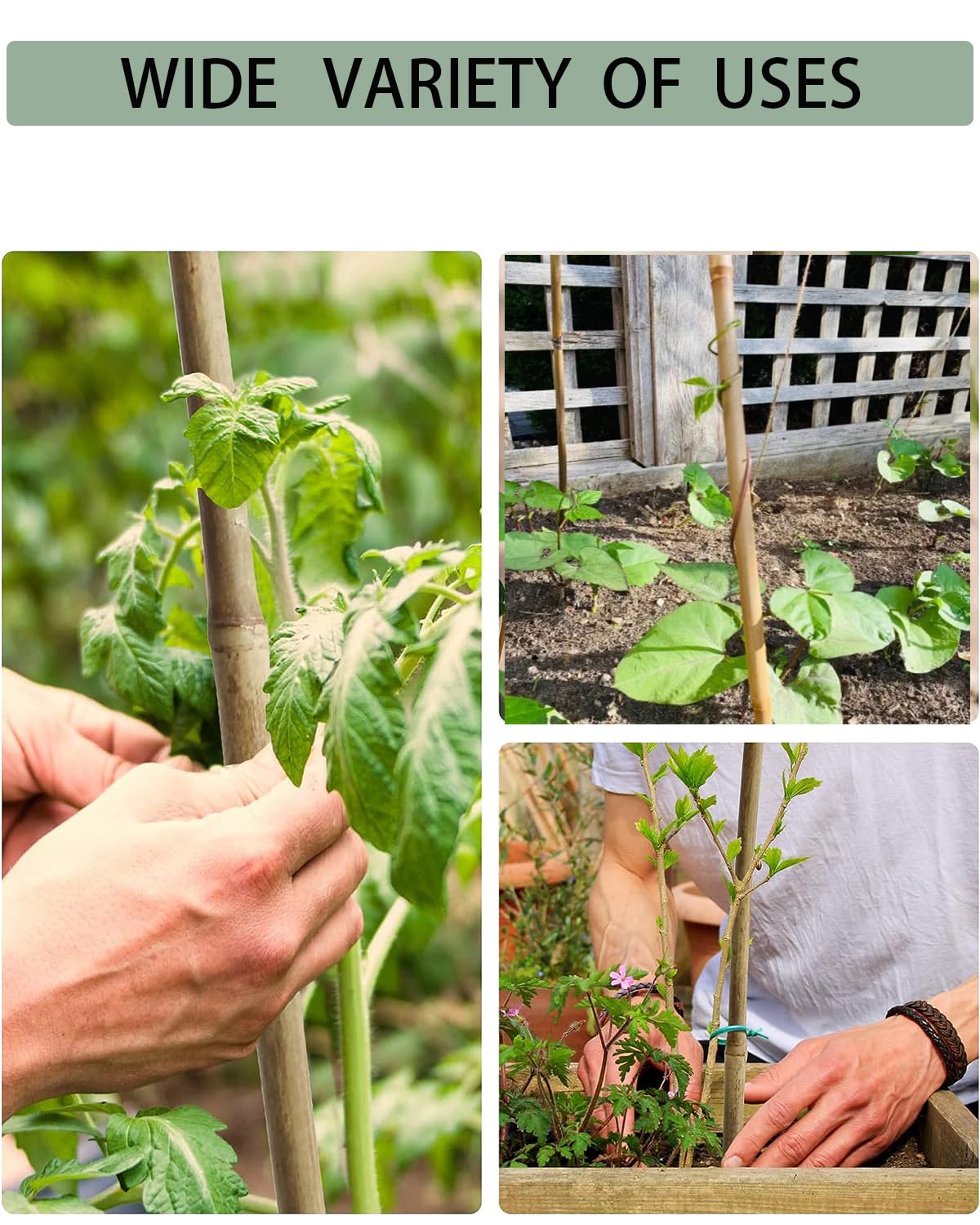 6 Ft Bamboo Stakes with 100 Twist Ties Natural Bamboo Garden Stakes for Tomatoes Cucumber Grapes Pole Beans Trees Potted Dahlia Flowers and Climbing Plants - Pack of 20 Bamboo Sticks