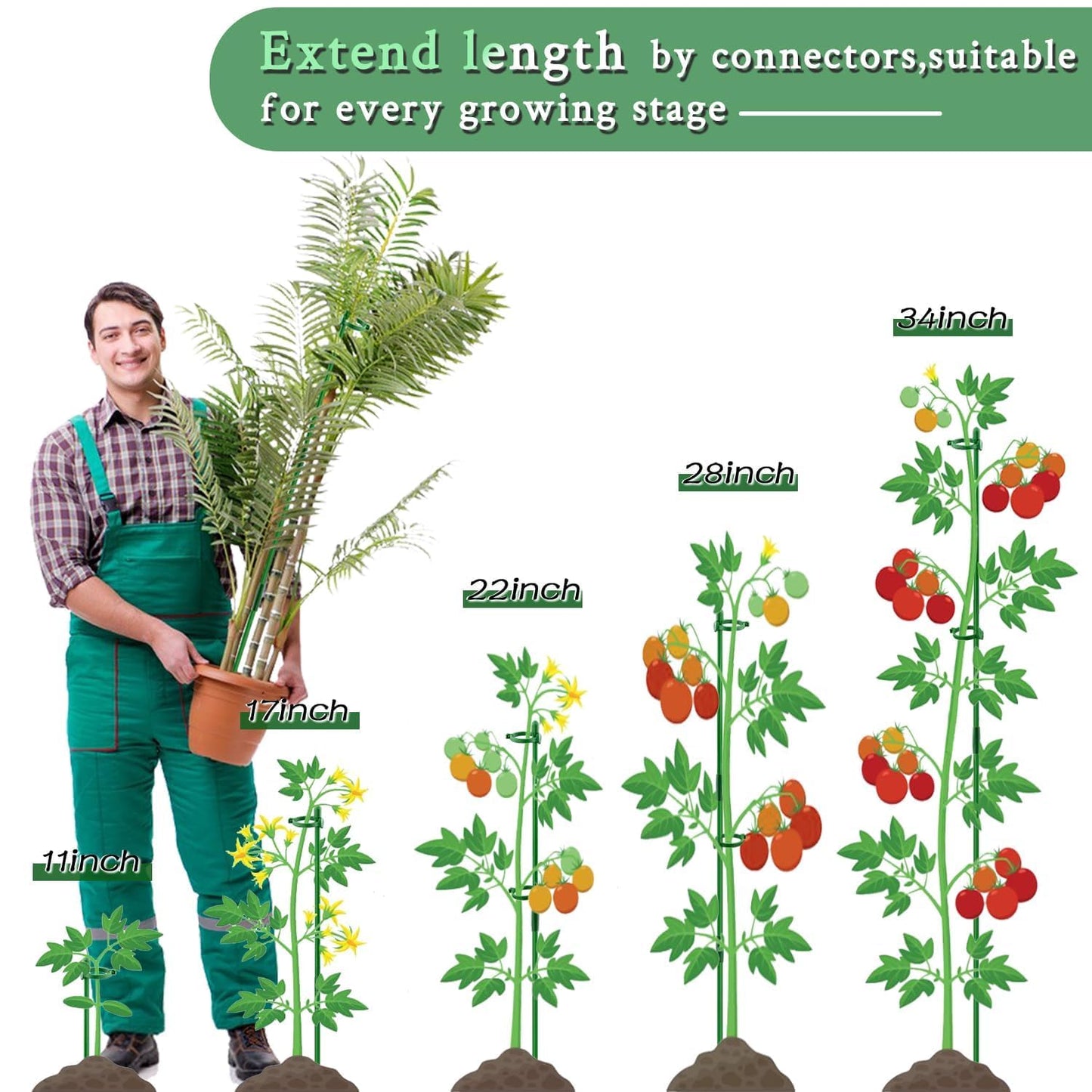 Plant Stakes 17inch &11inch SupKing Adjustable Length Plant Support Stake 16Pcs Orchid Stick with Clips for Indoor Outdoor,Garden Pole for Potted Tomato Amaryllis Vegetables Comes with 20 Ties (Green)