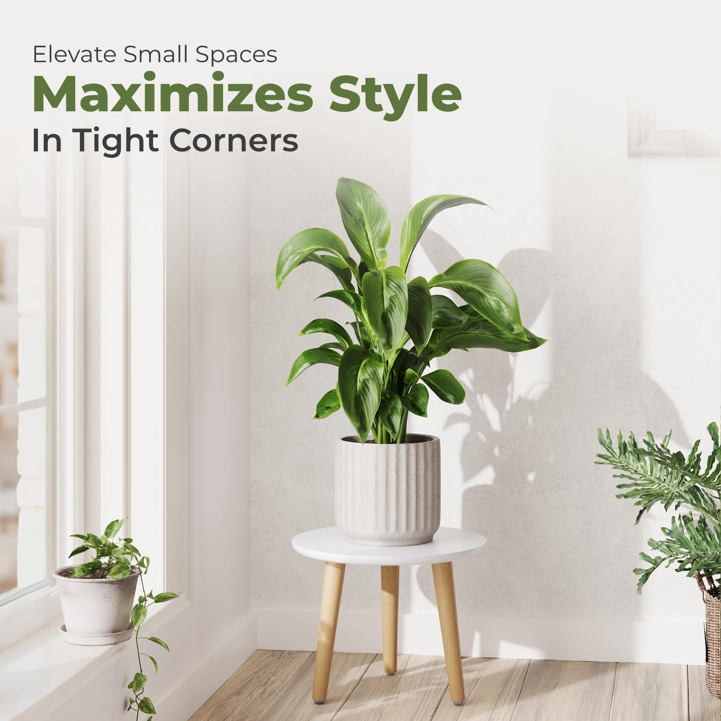 Leaf&lull Plant Stand Indoor Small Plant Table for Large Plants Wood Plant Stool Tall Plant Holder for Living Room Bedroom Balcony White
