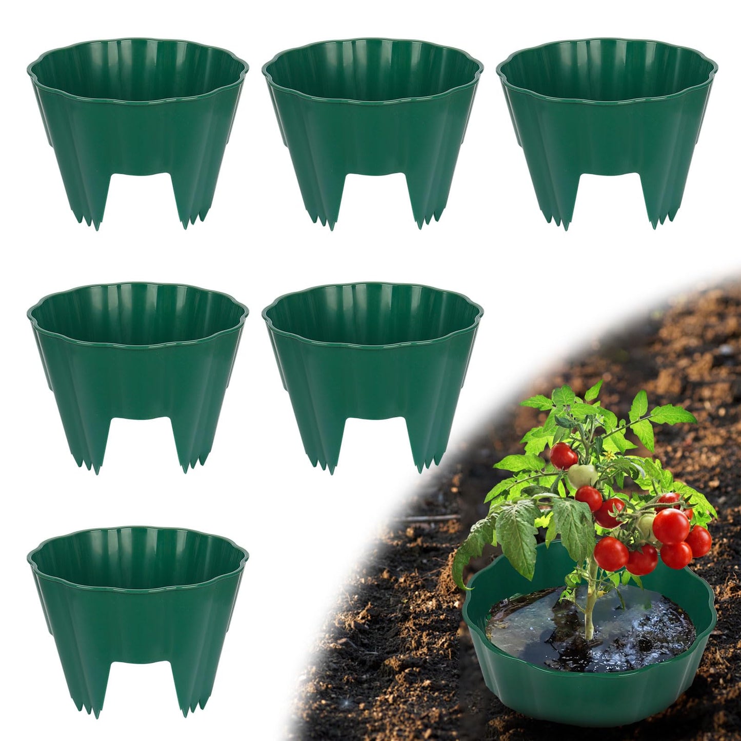 pdpdoc 6 Pack of 7 Inch Planting Grow Rings, Planting Protective Round Garden Edging, Keeping Plants Separated, Weed Control and Directing Water to the Roots (7 Inch - 6 Pack - Green)