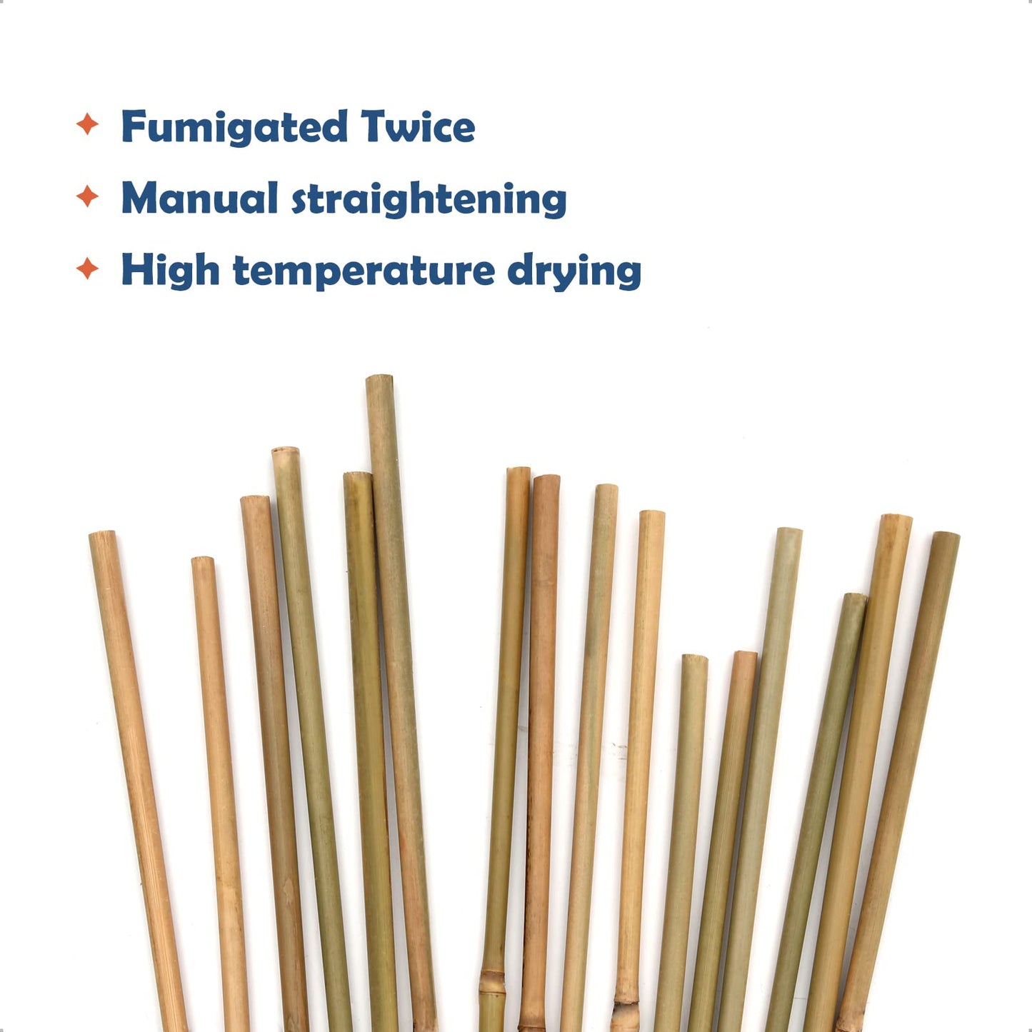 COLOtime Bamboo Stakes 2FT Garden Stakes Plant Stakes for Indoor Potted Climbing Plants Poles Sticks Support Peppers Orchid Daffodils 30 Pack