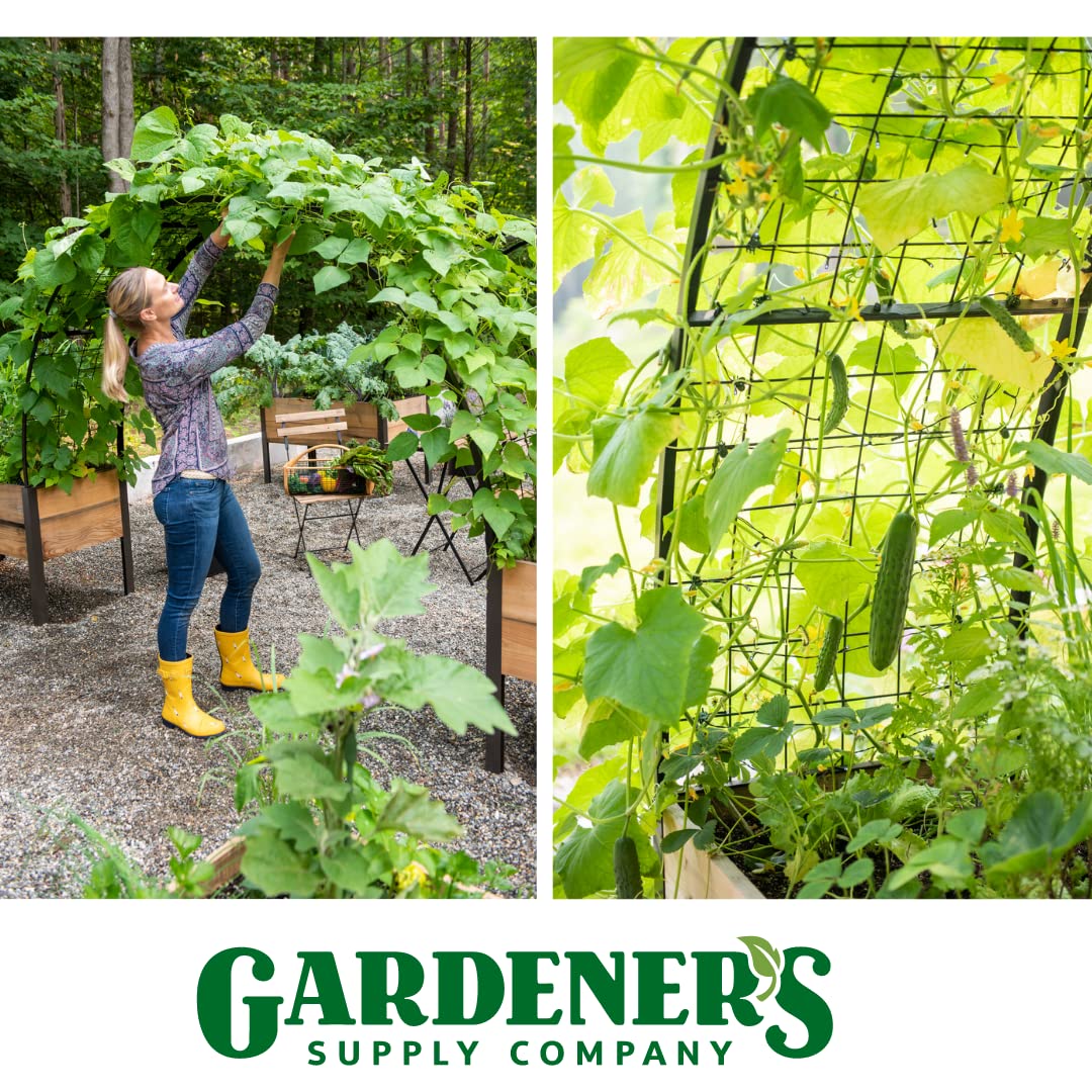 Gardener’s Supply Company Arch Trellis | Garden Arbor fits 2' x 8' Elevated Planter Boxes for Climbing Plants, Vegetables and Flowers | Decorative Outdoor Gardening Landscape