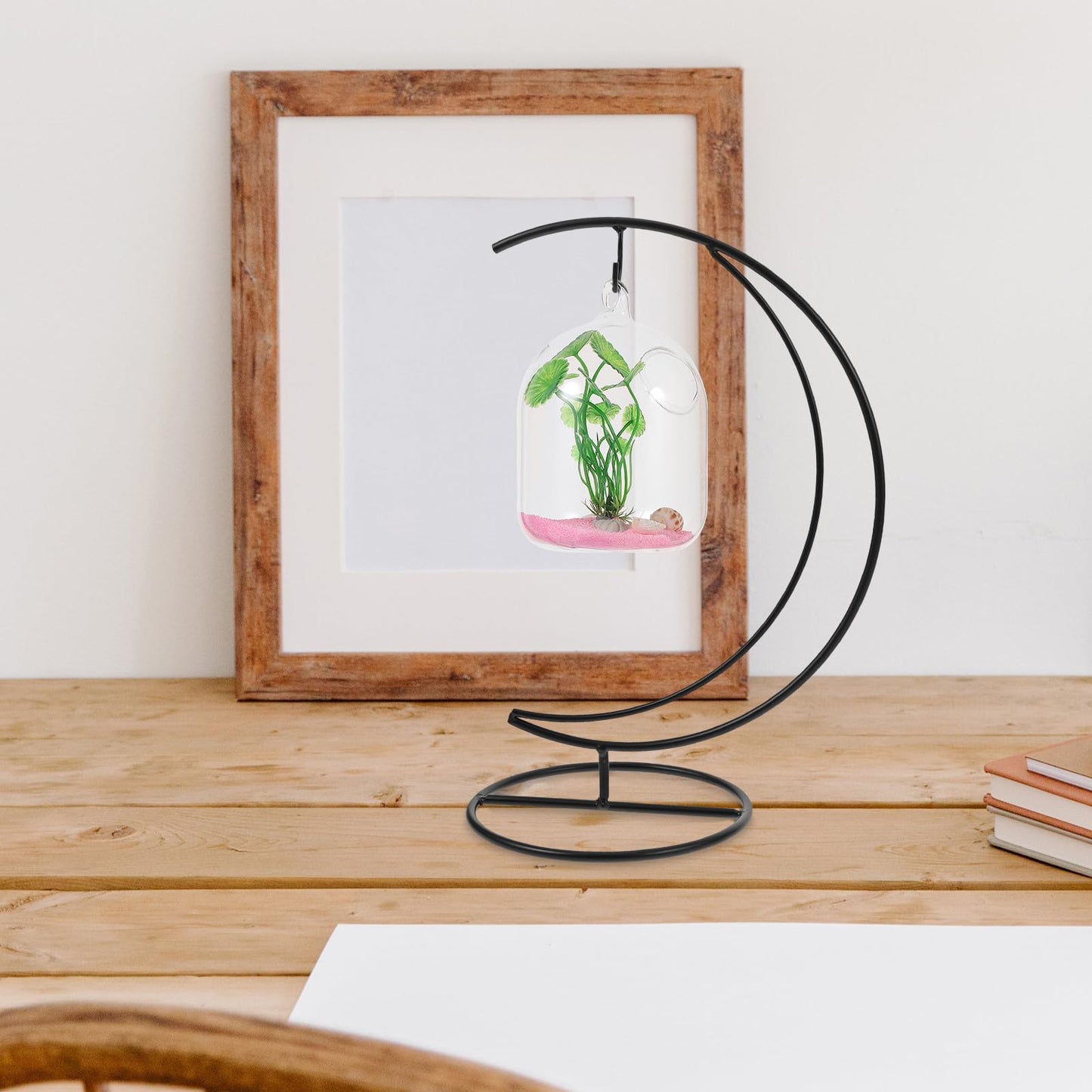 KALLORY 2pcs Moon-shaped Iron Hanging Hook Rack for Indoor Air Plant Holders and Terrarium Display Stands, Black Decorative Flower Pot Hangers for DIY Micro Landscape and Home Décor