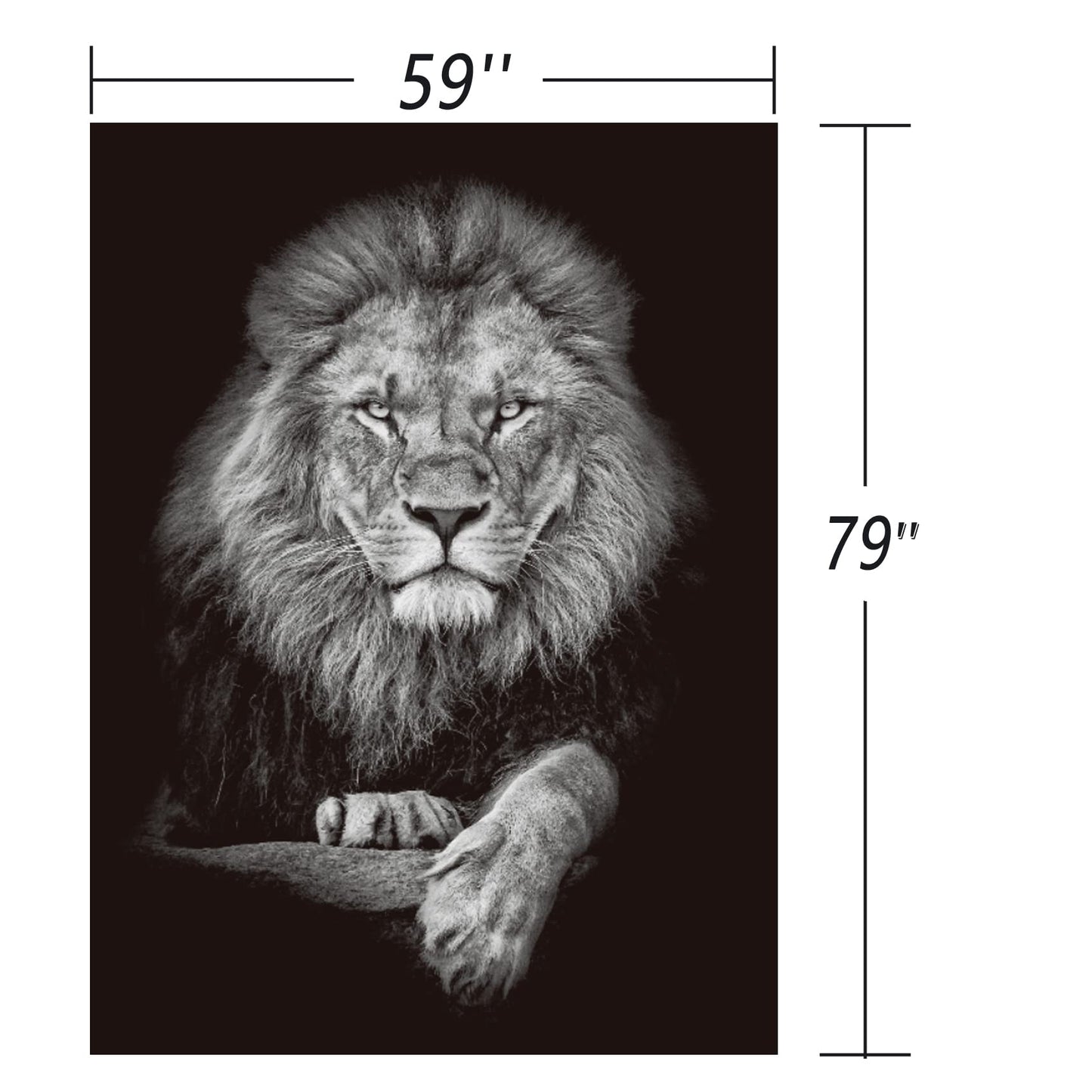 Jaccaws Black and White Lion Wall Hanging, 59''x 79'' for Bedroom, Living Room, Office