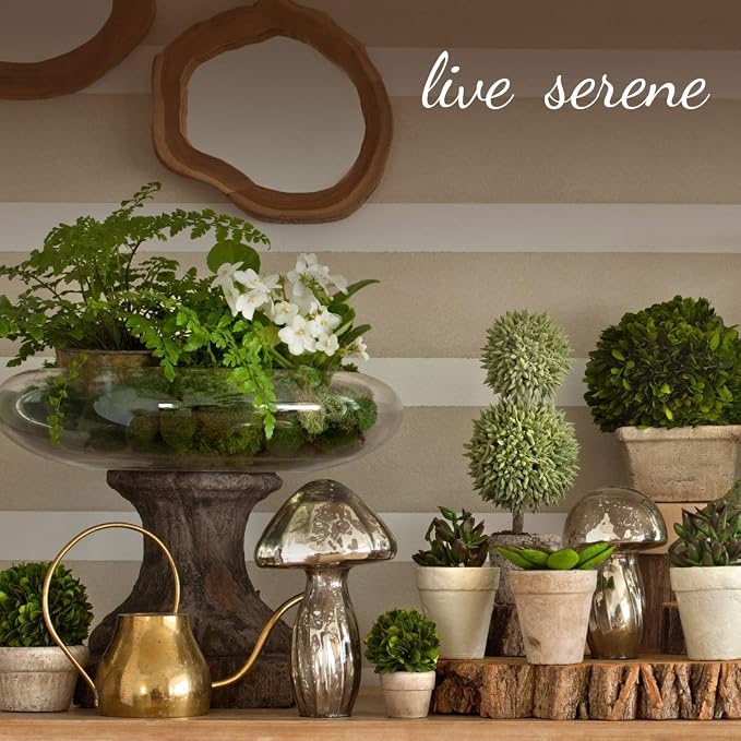 Serene Spaces Living Large Free-Form Edge Glazed Ceramic Bowl, Centerpiece for Vintage Weddings, Events, Measures 6" Long, 5.5" Wide, 2.75" Tall, Pack of 4