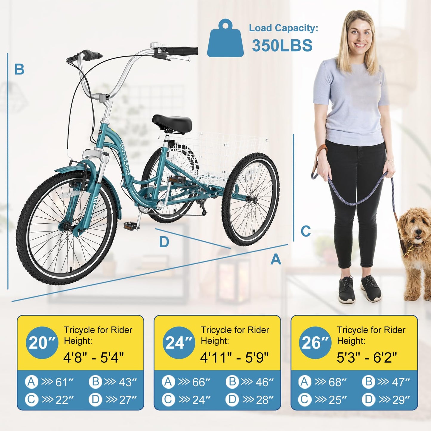 NAIZEA Folding Adult Tricycle - 7 Speed 20/24/26 Inch Folding Tricycle for Adult, 3 Wheel Bike, Foldable Trike with Large Basket/Low-Step Through for Men Women Senior
