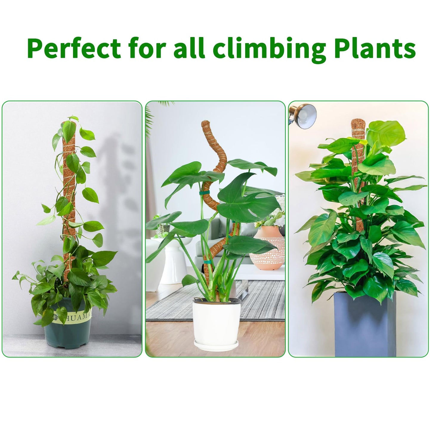 2 Pack 28 Inch Moss Pole Monstera Plant Support, Coir Moss Poles for Climbing Indoor Plants, Bendable Plant Stake Trellis for Potted Plant, Pothos, Philodendron