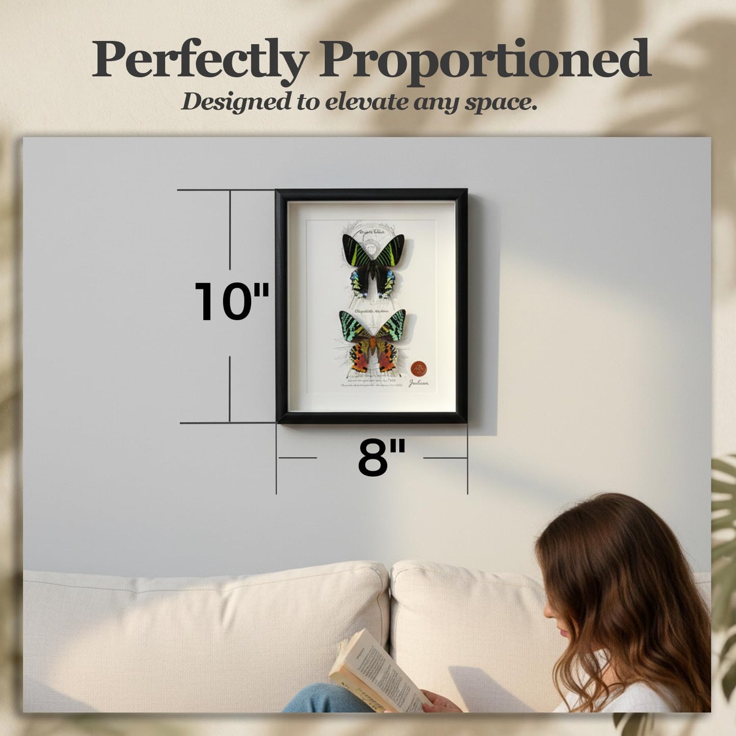 ArsVenciik Real Framed Moth Specimen Duo - Preserved Sunset & Urania Taxidermy - Metallic Rainbow Shadow Box Wall Art - Handmade Insect Decor & Gift for Butterfly/Moth Lovers