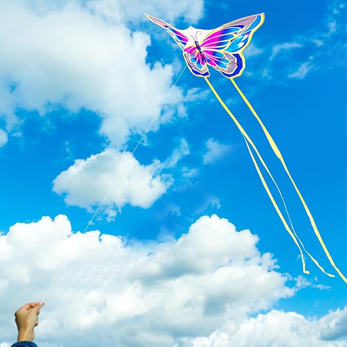 Xida Butterfly Kite for Kids & Adults, Easy to Fly, Ages 4-8, Large Kite with 300ft Handle, Perfect for Beach Trips