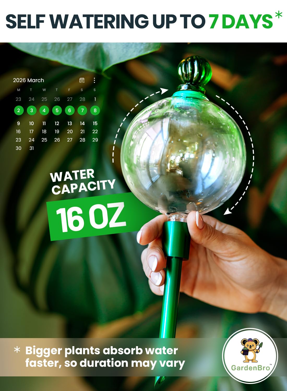 3pcs 16 Oz Plant Watering Globes for Indoor Plants with Metal Self Watering Planter Insert - Premium XL Glass Hand-Blown Globes - Automatic Plant Waterer Indoor, Gift Idea for Gardeners [3 Globes]