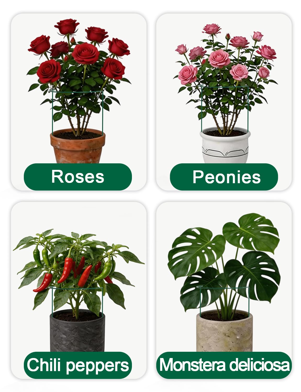 12 Pack Plant Support Stakes, 10" W x 16" H Metal Peony Cages and Supports, Green Half Round Garden Plant Support Ring for Outdoor Indoor Plants, Rose, Hydrangea, Tomato, Snake Plant