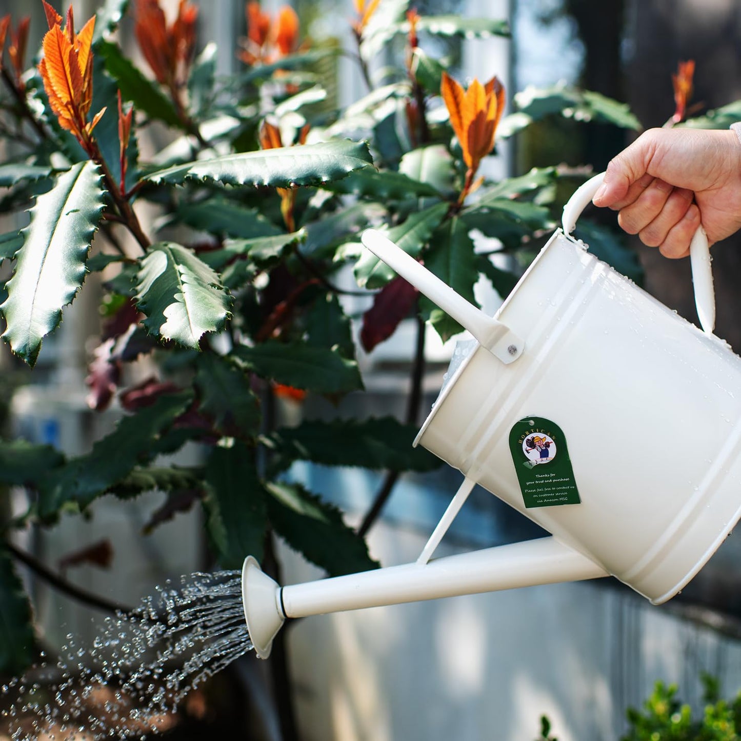 HORTICAN 1 Gallon Watering Can, Matte Cream, Metal Watering Can with Removable Spout, Galvanized Water can, Perfect Plant Water Can for Outddor and Indoor Use