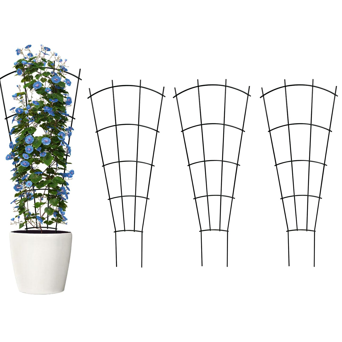 Thealyn 4 Pack 24" Metal Plant Trellis for Pots & Garden Beds, Rustproof Support for Indoor Outdoor Climbing Plants, Vines, Flowers, Fan Shaped, Black