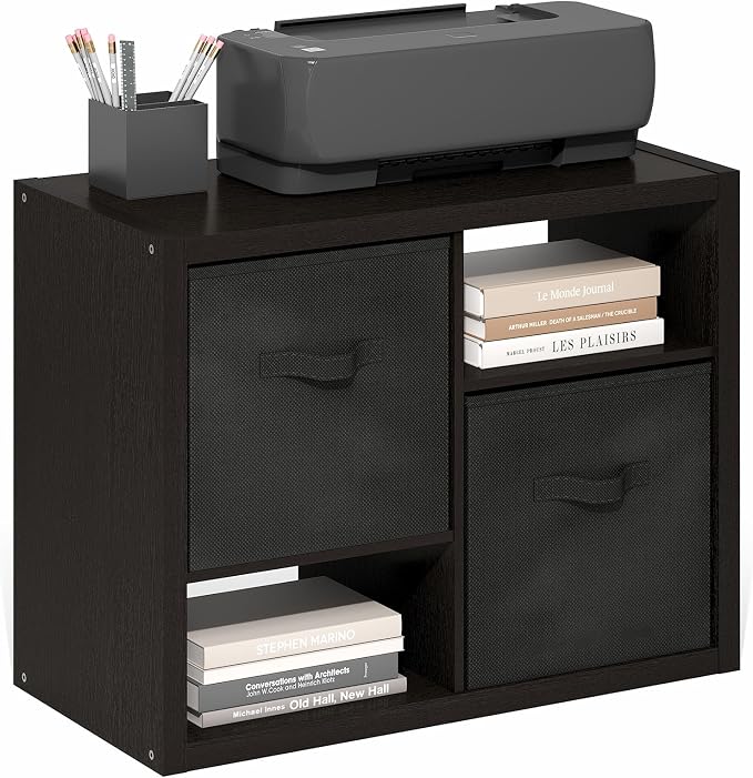 Furinno Viola Storage Shelf, 2-Tier Display Rack with 2 Drawer Bins, Extra Thick Frame Bookshelf, Reversible, for Organization, Living Room, Home Office, Black Dark Oak