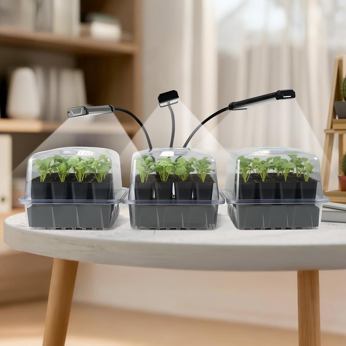 SOLIGT 72 Cell Self Watering Seed Starter Trays with Grow Light, 3 Seed Starter Kit with Humidity Domes, Full Spectrum Seedling Light with 8/12/18H Timer for Seed Starting, Seedling Growing
