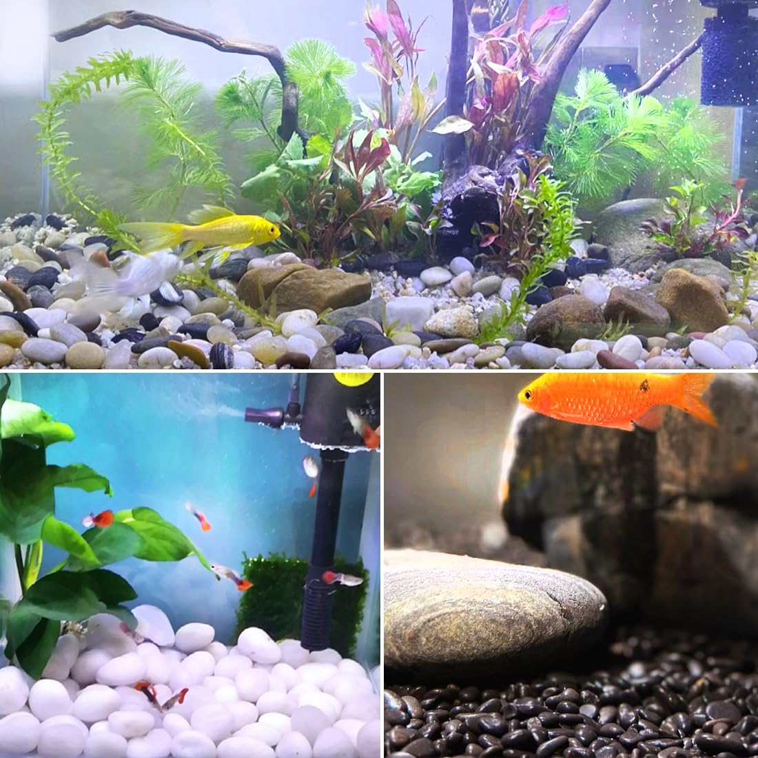 YISZM 40lbs White River Rocks for Landscaping, 2-3 Inch Natural Pebbles for Indoor Plants, High Polished Decorative Stones Garden Outdoor and Indoor DIY Vase Filler Fish Tank Aquariums
