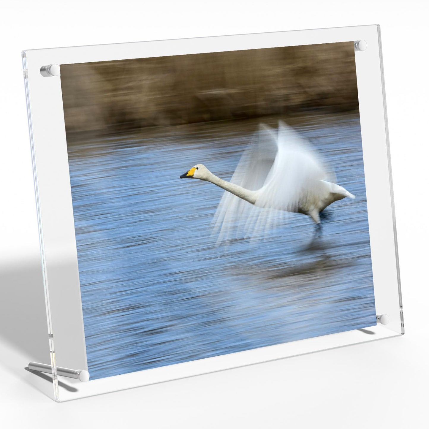 NIUBEE 8x10 Acrylic Picture Frame,Clear Frameless Photo Frame for Wall & Desktop Display Modern Floating Frame for Artwork Poster Diploma Certificate